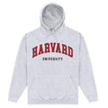 Heather Grey - Front - Harvard University Unisex Adult Script Hoodie