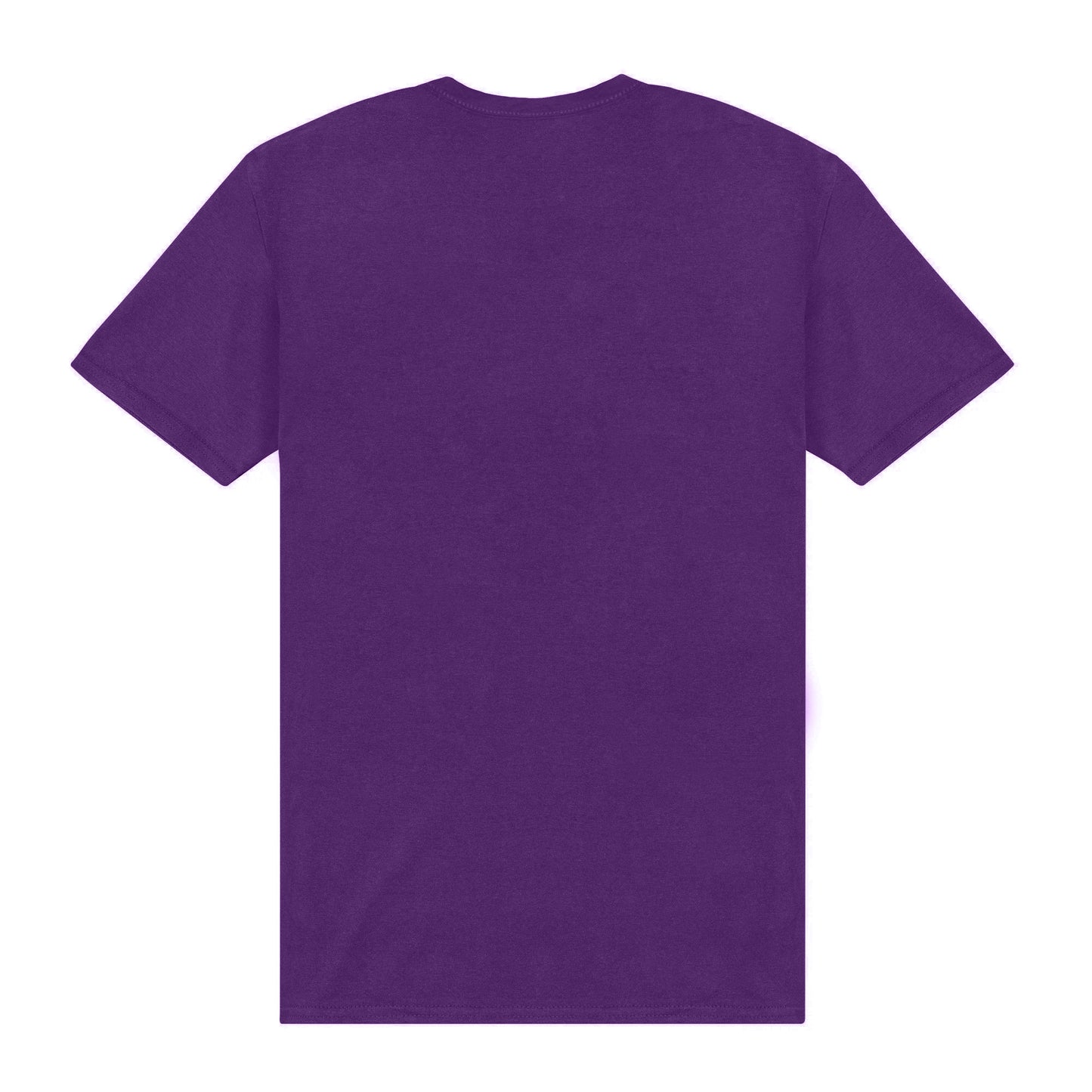 Purple - Back - Park Fields Cambridge University Unisex Adult Est 1209 T-Shirt