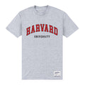 Heather Grey - Front - Harvard University Unisex Adult Est 1636 T-Shirt