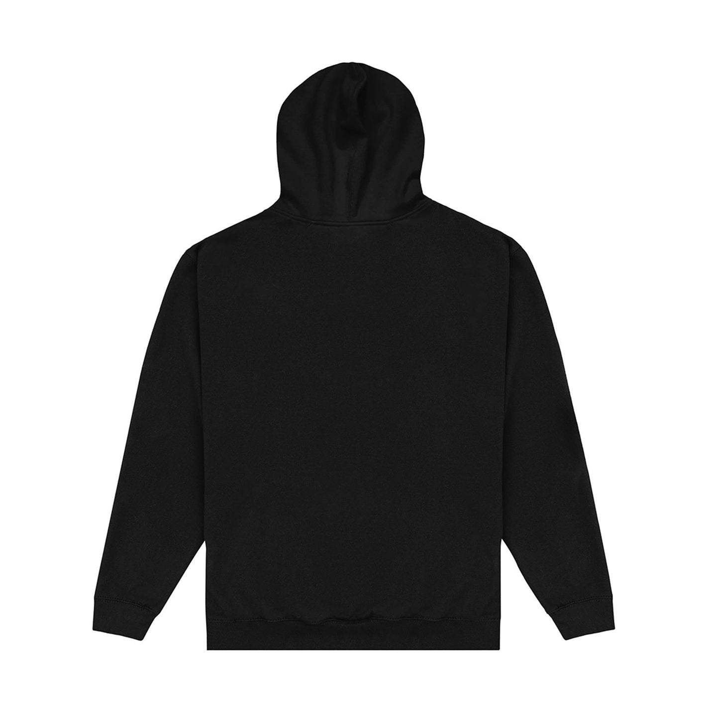 Black - Back - Terraria Unisex Adult Enthusiast Hoodie