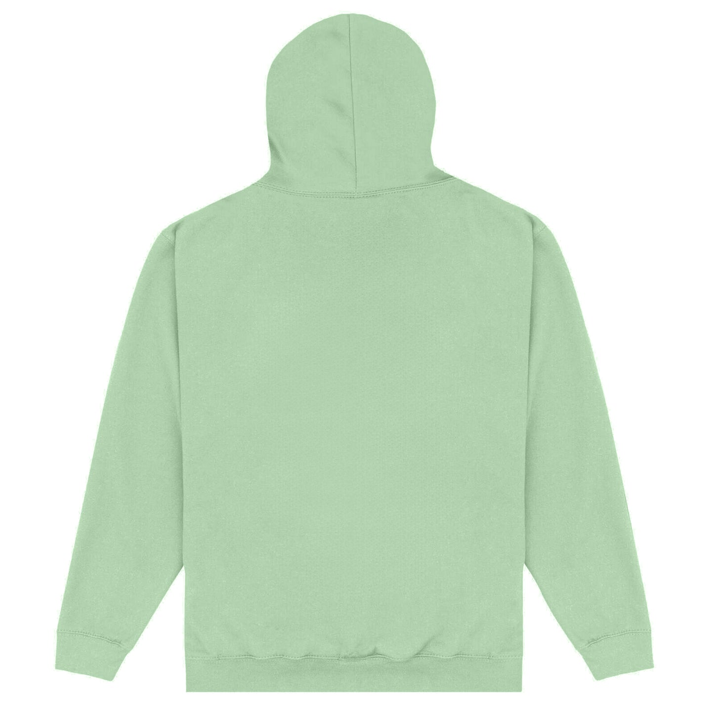 Mint Green - Back - Skateboard! Unisex Adult Magazine Pool Hoodie