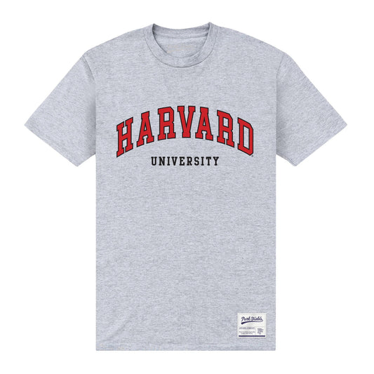 Heather Grey - Front - Harvard University Unisex Adult Script T-Shirt