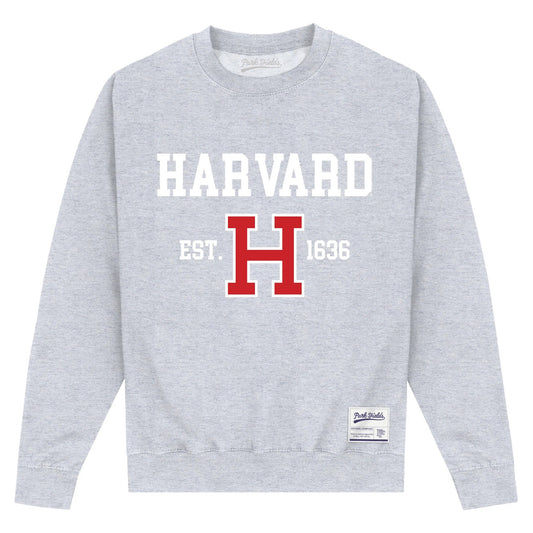 Heather Grey - Front - Harvard University Unisex Adult Est 1636 Sweatshirt