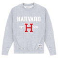 Heather Grey - Front - Harvard University Unisex Adult Est 1636 Sweatshirt