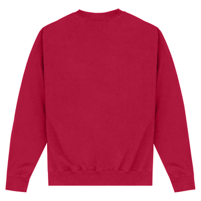 Maroon - Back - Harvard University Unisex Adult Est 1636 Sweatshirt