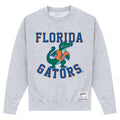 Heather Grey - Front - University Of Florida Unisex Adult Gators Sweatshirt