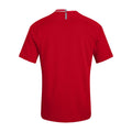Flag Red - Back - Canterbury Mens Evader Hooped Vapodri Jersey