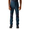 Moonlight Denim-Navy - Lifestyle - Regatta Mens Questra V Hiking Trousers