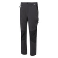 Ash-Black - Side - Regatta Mens Questra V Hiking Trousers