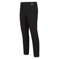Black - Front - Regatta Mens Questra V Hiking Trousers