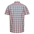 Danger Red-Coronet Blue - Back - Regatta Mens Mindano VIII Patterned Short-Sleeved Shirt