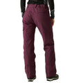 Fig - Pack Shot - Regatta Womens-Ladies Ice Ski Trousers