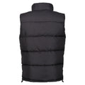 Black - Back - Regatta Professional Mens Insulated Gilet