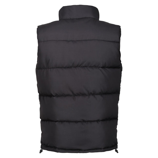 Black - Back - Regatta Professional Mens Insulated Gilet