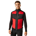 Classic Red-Black - Side - Regatta Professional Unisex Adult Thermal Hybrid Body Warmer