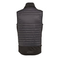 Ash-Black - Back - Regatta Professional Unisex Adult Thermal Hybrid Body Warmer