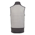 Mineral Grey-Ash - Back - Regatta Professional Unisex Adult Thermal Hybrid Body Warmer