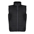 Black - Front - Regatta Professional Mens Insulated Recycled Gilet