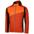Rooibos Tea-Puffins Orange - Side - Dare 2B Mens Touring Padded Jacket