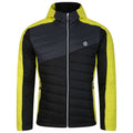 Neon Spring-Dark Storm - Front - Dare 2B Mens Touring Padded Jacket