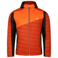 Rooibos Tea-Puffins Orange - Front - Dare 2B Mens Touring Padded Jacket
