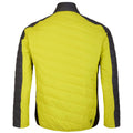 Neon Spring-Black - Back - Dare 2B Mens Descending Padded Jacket