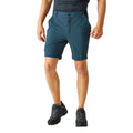 Moonlight Denim - Lifestyle - Regatta Mens Travel Light Packaway Shorts