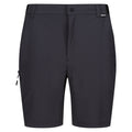 Ash - Front - Regatta Mens Travel Light Packaway Shorts