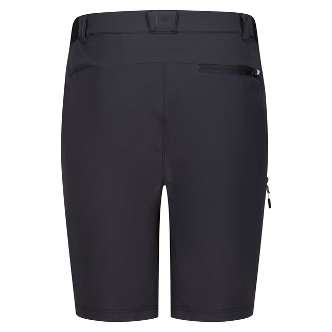 Ash - Back - Regatta Mens Travel Light Packaway Shorts