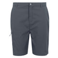 Seal Grey - Front - Regatta Mens Dalry Multi Pocket Shorts