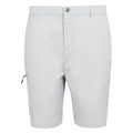 Silver Grey - Front - Regatta Mens Dalry Multi Pocket Shorts