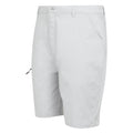 Silver Grey - Side - Regatta Mens Dalry Multi Pocket Shorts
