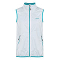 White-Tahoe Blue - Front - Regatta Womens-Ladies Body Warmer