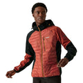 Black-Red Ochre - Lifestyle - Regatta Mens Andreson Pro Hybrid Jacket