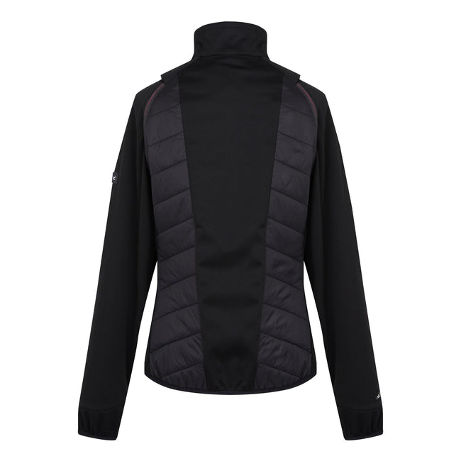 Black-Flamingo Pink - Back - Regatta Womens-Ladies Steren II Hybrid Jacket