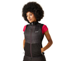 Black-Flamingo Pink - Lifestyle - Regatta Womens-Ladies Steren II Hybrid Jacket