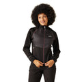 Black-Flamingo Pink - Pack Shot - Regatta Womens-Ladies Steren II Hybrid Jacket