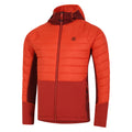 Cinnamon-Tuscan Red - Side - Dare 2B Mens Descending Hybrid Jacket