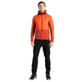 Cinnamon-Tuscan Red - Lifestyle - Dare 2B Mens Descending Hybrid Jacket