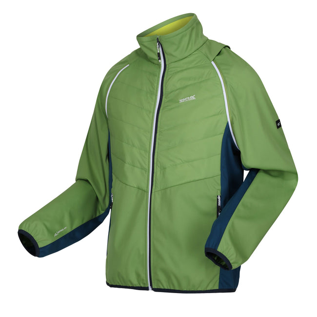 Piquant Green-Moroccan Blue-Citron Lime - Side - Regatta Mens Steren II Softshell Hybrid Jacket