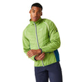 Piquant Green-Moroccan Blue-Citron Lime - Lifestyle - Regatta Mens Steren II Softshell Hybrid Jacket