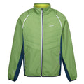 Piquant Green-Moroccan Blue-Citron Lime - Front - Regatta Mens Steren II Softshell Hybrid Jacket