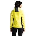 Yellow Plum-White - Pack Shot - Dare 2B Womens-Ladies Ascending Hybrid Jacket