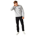 Grey Marl - Close up - Regatta Mens Nithsdale Mountain Crew Neck Crop Sweatshirt