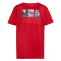 Danger Red - Front - Regatta Childrens-Kids Alvarado VIII Cycling T-Shirt