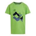 Piquant Green - Front - Regatta Childrens-Kids Bosley VII Mountain T-Shirt