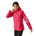 Pink Potion-Flamingo Pink - Lifestyle - Regatta Womens-Ladies Highton V Stretch Waterproof Jacket