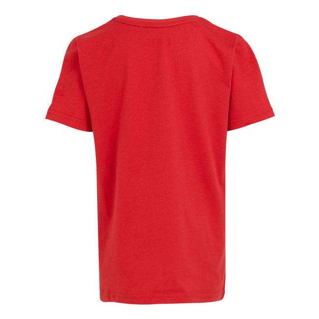 Danger Red - Back - Regatta Childrens-Kids Bosley VII Hawaii Palm Tree T-Shirt
