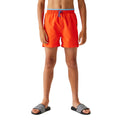 Tangerine Tango - Lifestyle - Regatta Childrens-Kids Skander III Plain Swim Shorts