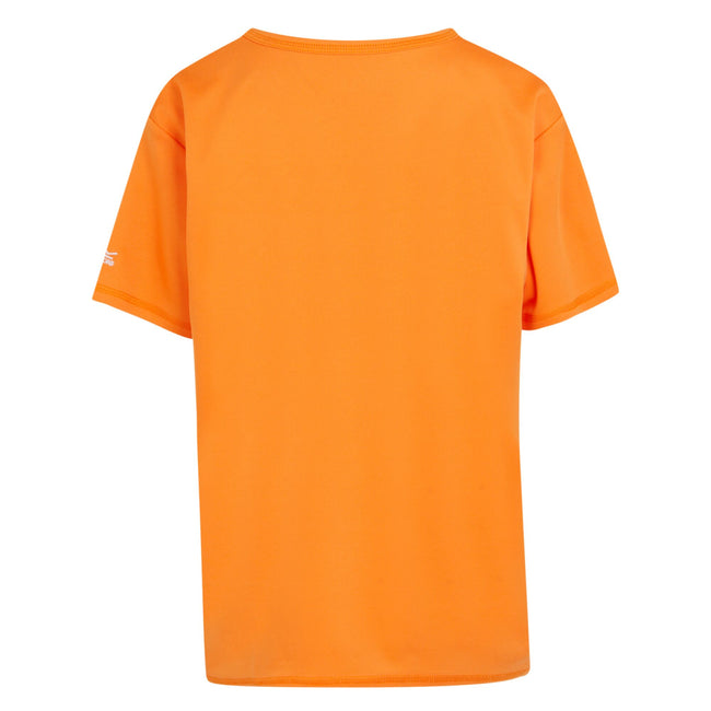 Persimmon - Back - Regatta Childrens-Kids Alvardo VIII Skateboard T-Shirt
